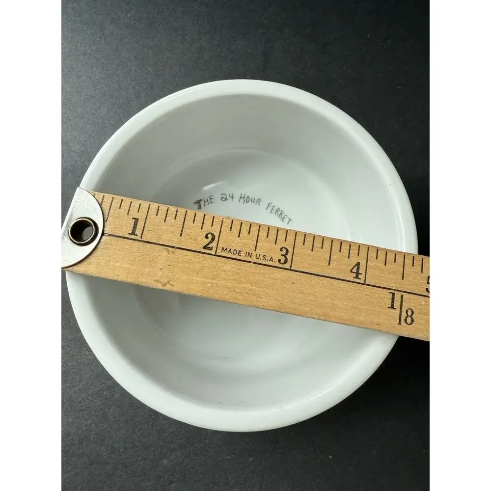 Cat Food Water Dish Ceramic The 24 Hour Ferret Debra Solomon Whimsycore